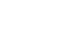 light logo